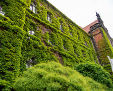 Muzeum Narodowe we Wrocławiu